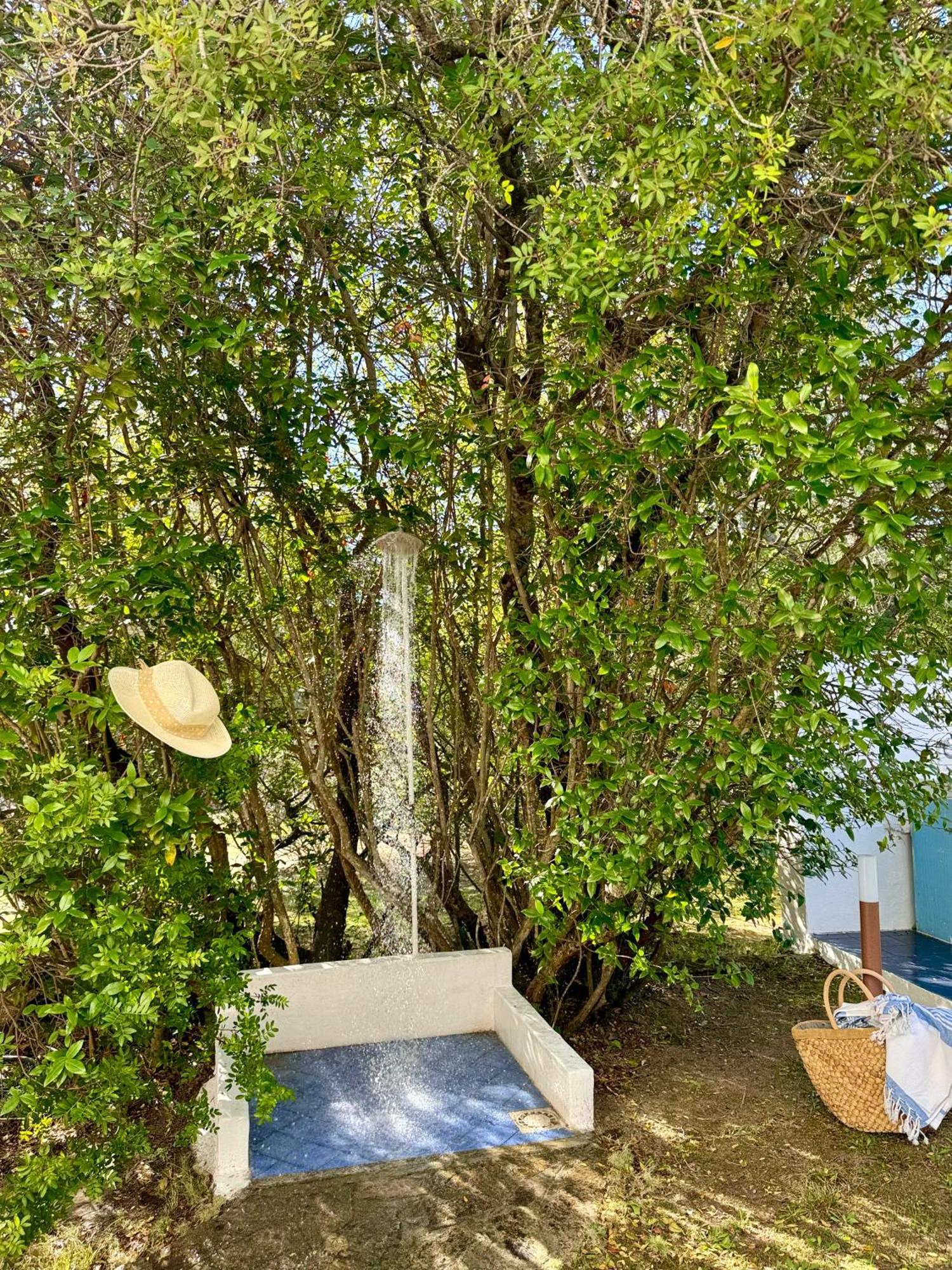 Garden Retreat - Homey Experience Olbia Bagian luar foto